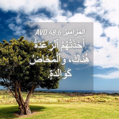 Picture 04 - اَلْمَزَامِيرُ 48:6 AVD - أَخَذَتْهُمُ ٱلرِّعْدَةُ - Bible Verse Picture