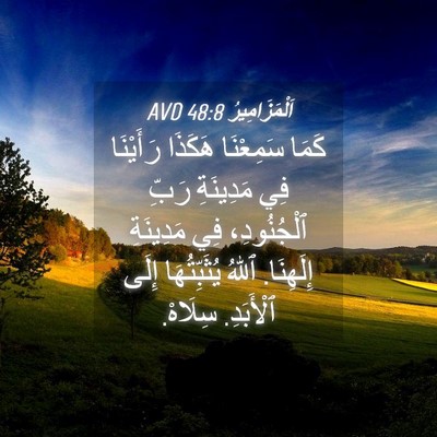 Picture 04 - اَلْمَزَامِيرُ 48:8 AVD - كَمَا سَمِعْنَا هَكَذَا - Bible Verse Picture