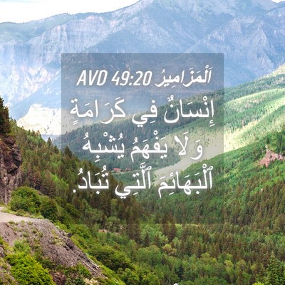 Picture 04 - اَلْمَزَامِيرُ 49:20 AVD - إِنْسَانٌ فِي كَرَامَةٍ - Bible Verse Picture