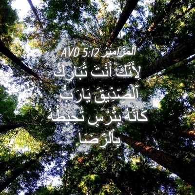 Picture 04 - اَلْمَزَامِيرُ 5:12 AVD - لِأَنَّكَ أَنْتَ - Bible Verse Picture