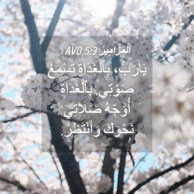 Picture 04 - اَلْمَزَامِيرُ 5:3 AVD - يَارَبُّ، بِٱلْغَدَاةِ - Bible Verse Picture