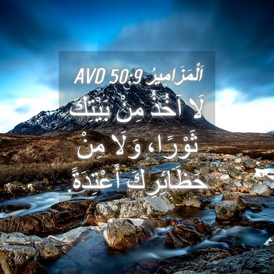 Picture 04 - اَلْمَزَامِيرُ 50:9 AVD - لَا آخُذُ مِنْ بَيْتِكَ - Bible Verse Picture