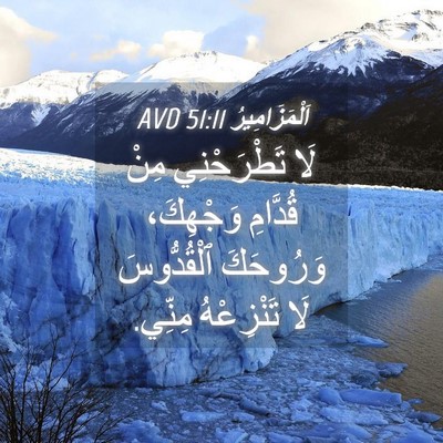 Picture 04 - اَلْمَزَامِيرُ 51:11 AVD - لَا تَطْرَحْنِي مِنْ - Bible Verse Picture