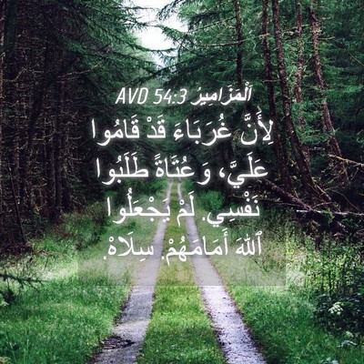 Picture 04 - اَلْمَزَامِيرُ 54:3 AVD - لِأَنَّ غُرَبَاءَ قَدْ - Bible Verse Picture