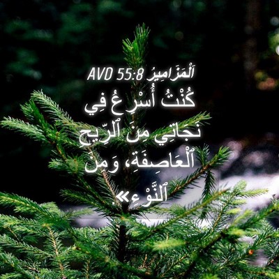 Picture 04 - اَلْمَزَامِيرُ 55:8 AVD - كُنْتُ أُسْرِعُ فِي - Bible Verse Picture