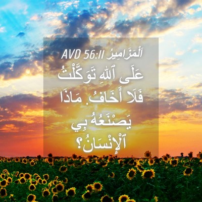 Picture 04 - اَلْمَزَامِيرُ 56:11 AVD - عَلَى ٱللهِ تَوَكَّلْتُ - Bible Verse Picture