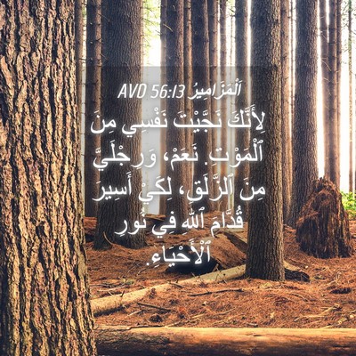 Picture 04 - اَلْمَزَامِيرُ 56:13 AVD - لِأَنَّكَ نَجَّيْتَ - Bible Verse Picture