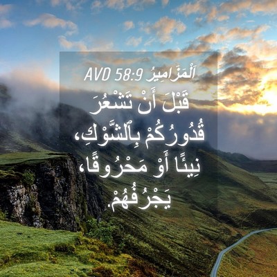 Picture 04 - اَلْمَزَامِيرُ 58:9 AVD - قَبْلَ أَنْ تَشْعُرَ - Bible Verse Picture