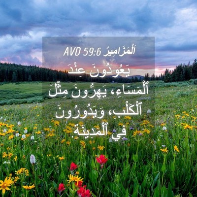 Picture 04 - اَلْمَزَامِيرُ 59:6 AVD - يَعُودُونَ عِنْدَ - Bible Verse Picture