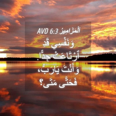 Picture 04 - اَلْمَزَامِيرُ 6:3 AVD - وَنَفْسِي قَدِ ٱرْتَاعَتْ - Bible Verse Picture
