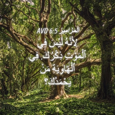Picture 04 - اَلْمَزَامِيرُ 6:5 AVD - لِأَنَّهُ لَيْسَ فِي - Bible Verse Picture