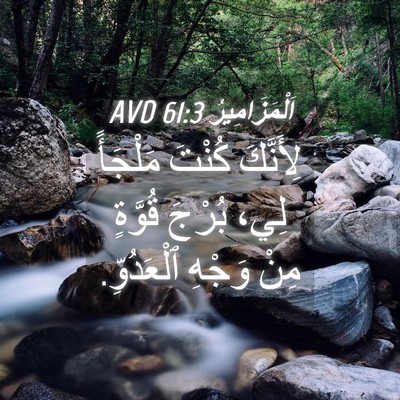 Picture 04 - اَلْمَزَامِيرُ 61:3 AVD - لِأَنَّكَ كُنْتَ مَلْجَأً - Bible Verse Picture