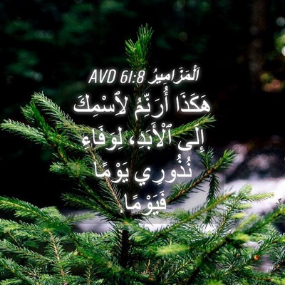 Picture 04 - اَلْمَزَامِيرُ 61:8 AVD - هَكَذَا أُرَنِّمُ - Bible Verse Picture