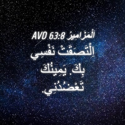 Picture 04 - اَلْمَزَامِيرُ 63:8 AVD - اِلْتَصَقَتْ نَفْسِي بِكَ. - Bible Verse Picture