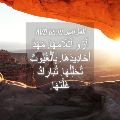 Picture 04 - اَلْمَزَامِيرُ 65:10 AVD - أَرْوِ أَتْلَامَهَا. - Bible Verse Picture