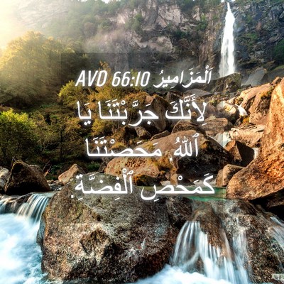 Picture 04 - اَلْمَزَامِيرُ 66:10 AVD - لِأَنَّكَ جَرَّبْتَنَا - Bible Verse Picture