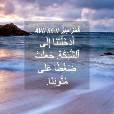 Picture 04 - اَلْمَزَامِيرُ 66:11 AVD - أَدْخَلْتَنَا إِلَى - Bible Verse Picture