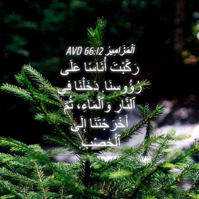 Picture 04 - اَلْمَزَامِيرُ 66:12 AVD - رَكَّبْتَ أُنَاسًا عَلَى - Bible Verse Picture
