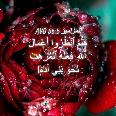 Picture 04 - اَلْمَزَامِيرُ 66:5 AVD - هَلُمَّ ٱنْظُرُوا - Bible Verse Picture
