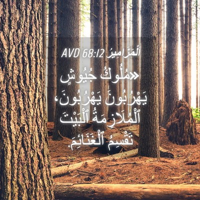 Picture 04 - اَلْمَزَامِيرُ 68:12 AVD - «مُلُوكُ جُيُوشٍ - Bible Verse Picture