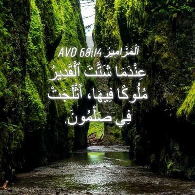 Picture 04 - اَلْمَزَامِيرُ 68:14 AVD - عِنْدَمَا شَتَّتَ - Bible Verse Picture