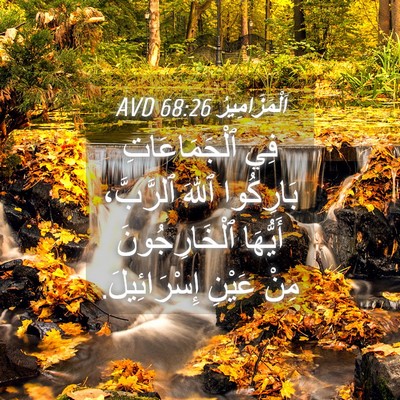 Picture 04 - اَلْمَزَامِيرُ 68:26 AVD - فِي ٱلْجَمَاعَاتِ - Bible Verse Picture