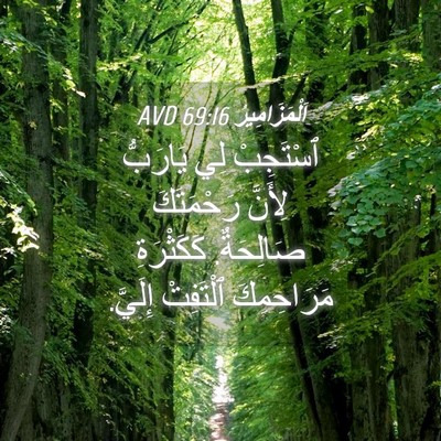 Picture 04 - اَلْمَزَامِيرُ 69:16 AVD - ٱسْتَجِبْ لِي يَارَبُّ - Bible Verse Picture