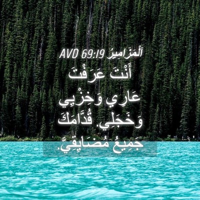 Picture 04 - اَلْمَزَامِيرُ 69:19 AVD - أَنْتَ عَرَفْتَ عَارِي - Bible Verse Picture