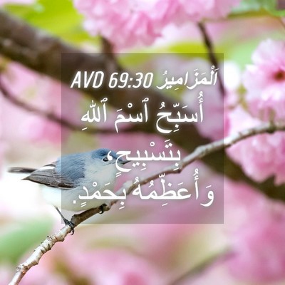 Picture 04 - اَلْمَزَامِيرُ 69:30 AVD - أُسَبِّحُ ٱسْمَ ٱللهِ - Bible Verse Picture