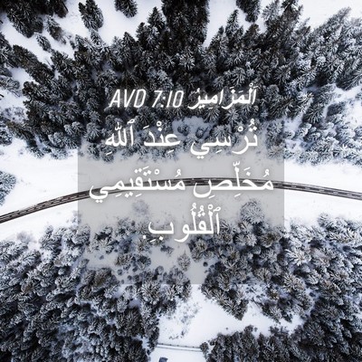 Picture 04 - اَلْمَزَامِيرُ 7:10 AVD - تُرْسِي عِنْدَ ٱللهِ - Bible Verse Picture