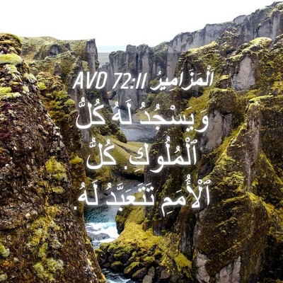 Picture 04 - اَلْمَزَامِيرُ 72:11 AVD - وَيَسْجُدُ لَهُ كُلُّ - Bible Verse Picture