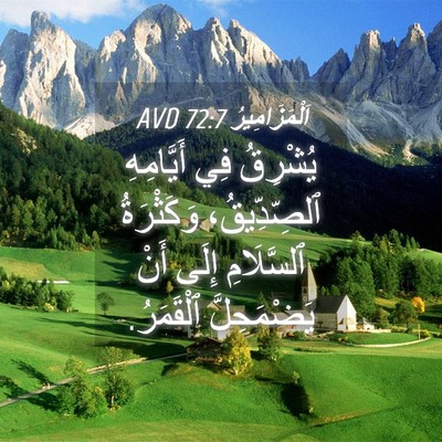 Picture 04 - اَلْمَزَامِيرُ 72:7 AVD - يُشْرِقُ فِي أَيَّامِهِ - Bible Verse Picture
