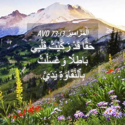 Picture 04 - اَلْمَزَامِيرُ 73:13 AVD - حَقًّا قَدْ زَكَّيْتُ - Bible Verse Picture
