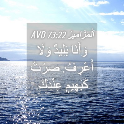 Picture 04 - اَلْمَزَامِيرُ 73:22 AVD - وَأَنَا بَلِيدٌ وَلَا - Bible Verse Picture