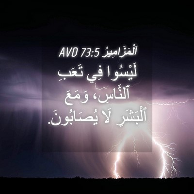 Picture 04 - اَلْمَزَامِيرُ 73:5 AVD - لَيْسُوا فِي تَعَبِ - Bible Verse Picture