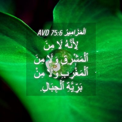 Picture 04 - اَلْمَزَامِيرُ 75:6 AVD - لِأَنَّهُ لَا مِنَ - Bible Verse Picture