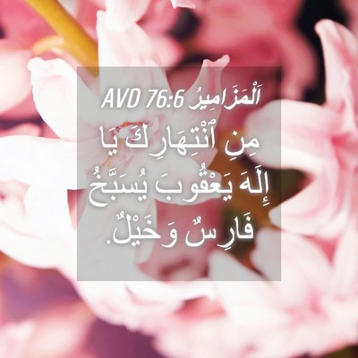Picture 04 - اَلْمَزَامِيرُ 76:6 AVD - مِنِ ٱنْتِهَارِكَ يَا - Bible Verse Picture