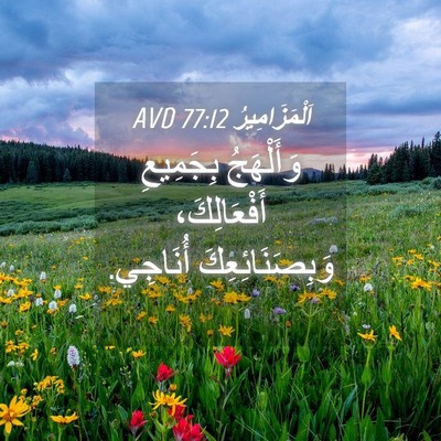 Picture 04 - اَلْمَزَامِيرُ 77:12 AVD - وَأَلْهَجُ بِجَمِيعِ - Bible Verse Picture