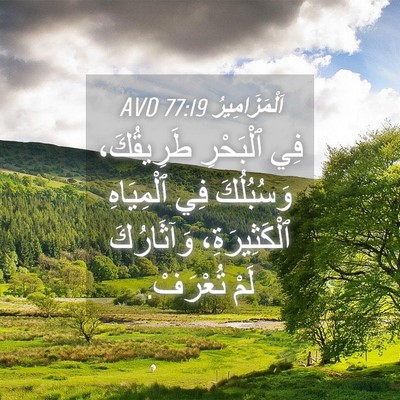 Picture 04 - اَلْمَزَامِيرُ 77:19 AVD - فِي ٱلْبَحْرِ طَرِيقُكَ، - Bible Verse Picture