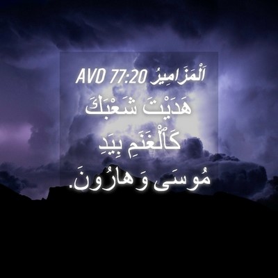 Picture 04 - اَلْمَزَامِيرُ 77:20 AVD - هَدَيْتَ شَعْبَكَ - Bible Verse Picture