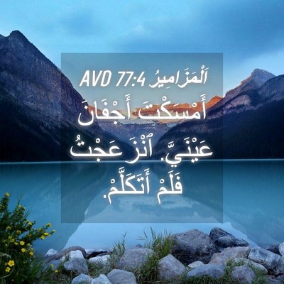 Picture 04 - اَلْمَزَامِيرُ 77:4 AVD - أَمْسَكْتَ أَجْفَانَ - Bible Verse Picture