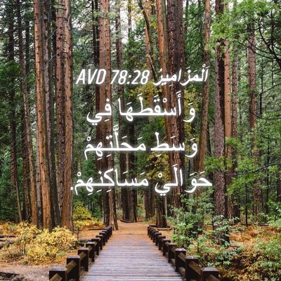 Picture 04 - اَلْمَزَامِيرُ 78:28 AVD - وَأَسْقَطَهَا فِي وَسَطِ - Bible Verse Picture
