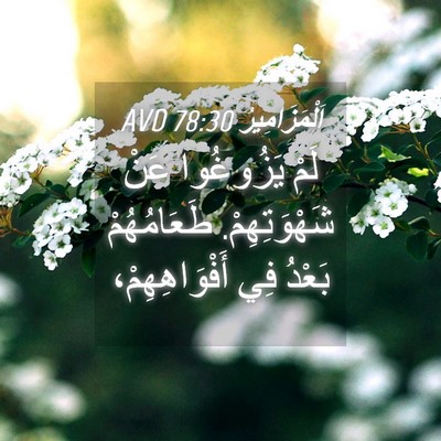 Picture 04 - اَلْمَزَامِيرُ 78:30 AVD - لَمْ يَزُوغُوا عَنْ - Bible Verse Picture