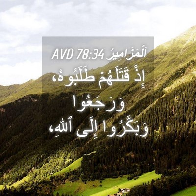 Picture 04 - اَلْمَزَامِيرُ 78:34 AVD - إِذْ قَتَلَهُمْ - Bible Verse Picture