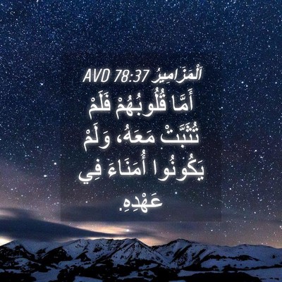 Picture 04 - اَلْمَزَامِيرُ 78:37 AVD - أَمَّا قُلُوبُهُمْ فَلَمْ - Bible Verse Picture