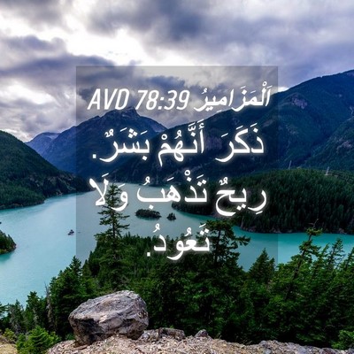 Picture 04 - اَلْمَزَامِيرُ 78:39 AVD - ذَكَرَ أَنَّهُمْ بَشَرٌ. - Bible Verse Picture