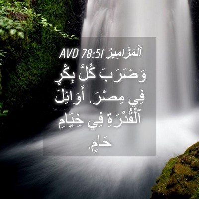 Picture 04 - اَلْمَزَامِيرُ 78:51 AVD - وَضَرَبَ كُلَّ بِكْرٍ فِي - Bible Verse Picture