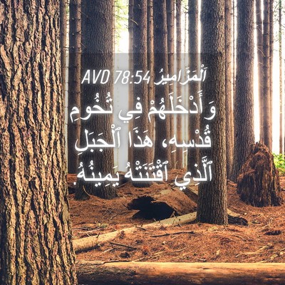Picture 04 - اَلْمَزَامِيرُ 78:54 AVD - وَأَدْخَلَهُمْ فِي - Bible Verse Picture
