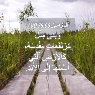 Picture 04 - اَلْمَزَامِيرُ 78:69 AVD - وَبَنَى مِثْلَ - Bible Verse Picture