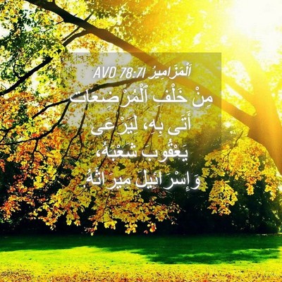 Picture 04 - اَلْمَزَامِيرُ 78:71 AVD - مِنْ خَلْفِ - Bible Verse Picture
